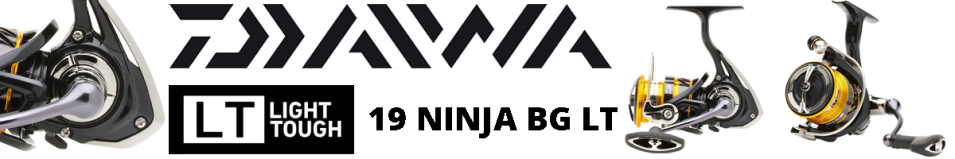 Daiwa 19 Ninja BG LT