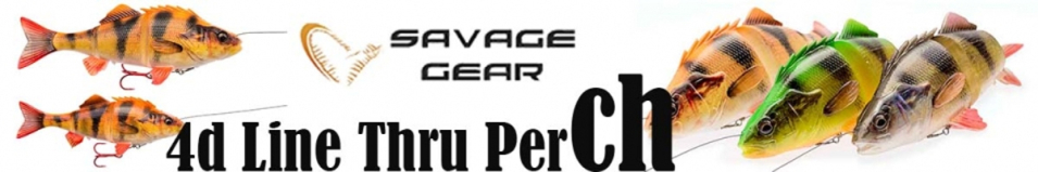 Savage Gear 4d Line Thru Perch 23cm 145g