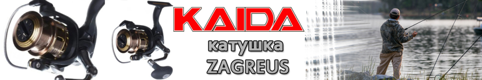 Kaida Zagreus R006-A 