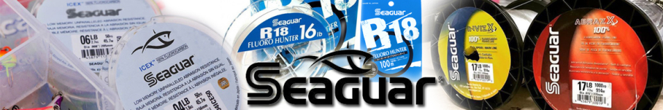 Seaguar R-18 Fluoro Hunter 100м