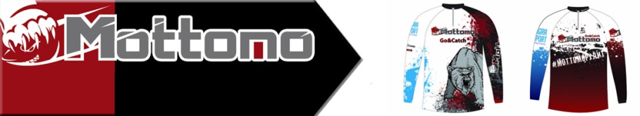 Mottomo