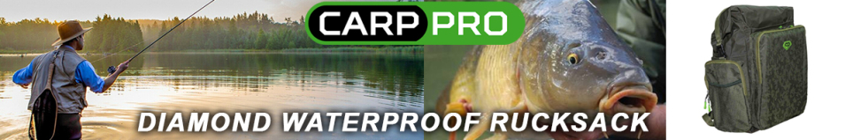 Carp Pro Diamond CPHD0148