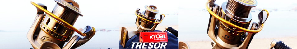 Ryobi Tresor