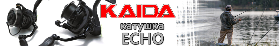 Kaida Echo