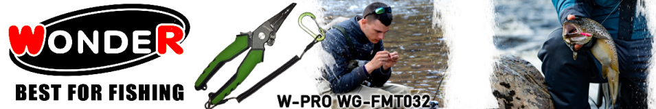 Wonder W-PRO WG-FMT032