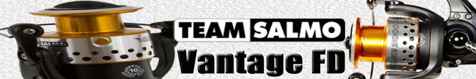 Team Salmo Vantage FD