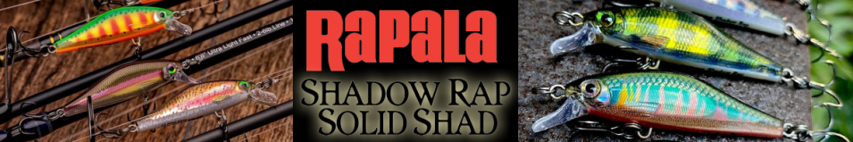 Rapala Shadow Rap Solid Shad SDRSS05