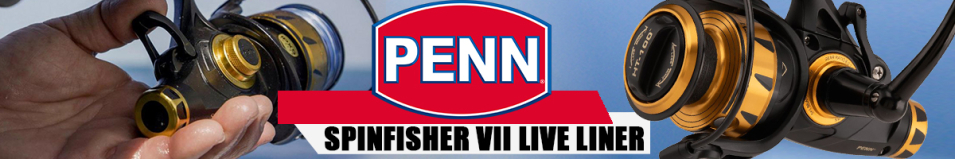 Penn Spinfisher VII Live Liner