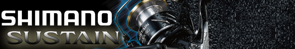 Shimano 21 Sustain FJ