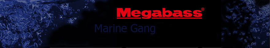 Megabass Marine Gang 120F