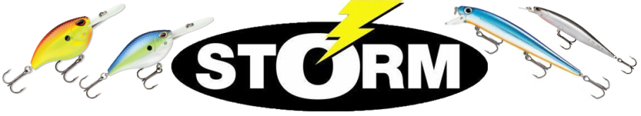 Storm ThunderStick MadFlash