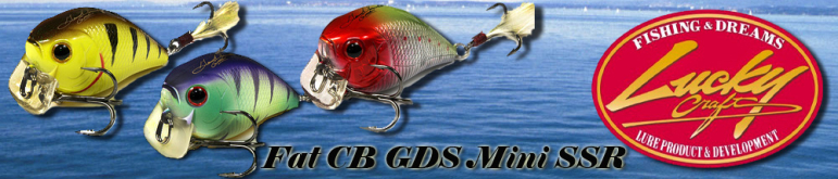 Lucky Craft Fat CB GDS Mini 