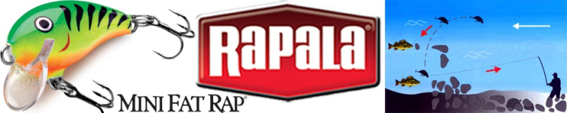 Rapala Mini Fat Rap