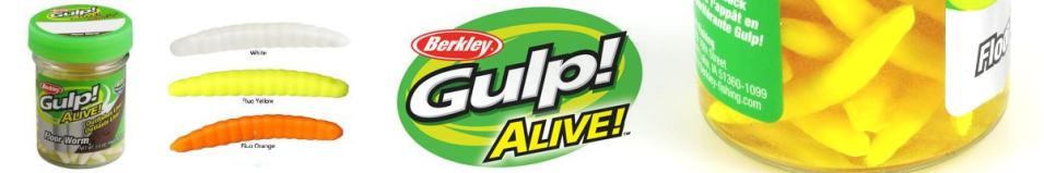 Berkley Gulp! Alive Floor Worm 57г 3см