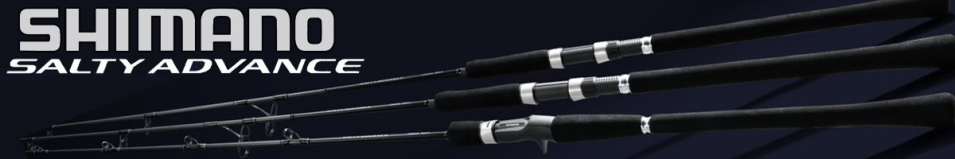 Shimano 19 Salty Advance Shore Jigging