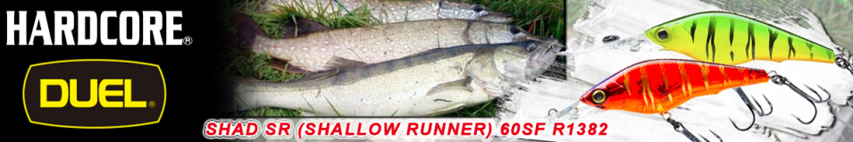 Duel Hardcore Shad SR (Shallow Runner) 60SF R1382