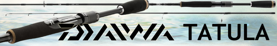 Daiwa Tatula Spin