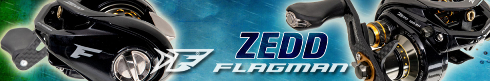 Flagman Zedd