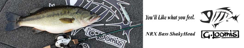 G.Loomis NRX Bass ShakyHead