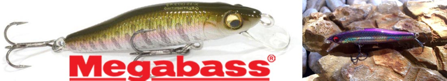 Megabass X-55 Great Hunting