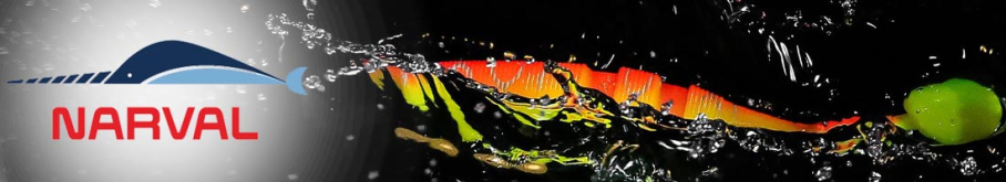 Narval Loopy Shad 12cm