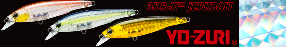 Yo-Zuri 3DR-X Jerkbait 80F R1436