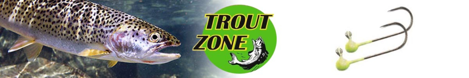 Trout Zone Джиг-головка на крючке Kumho BN №2 (Безбородый) шартрез