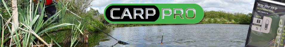 Carp Pro Скользящее крепление матчевого поплавка