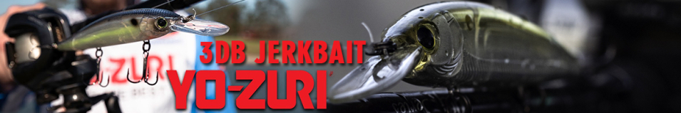 Yo-Zuri 3DB Jerkbait 110SP R1355