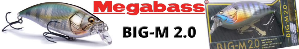 Megabass Big-M 2.0