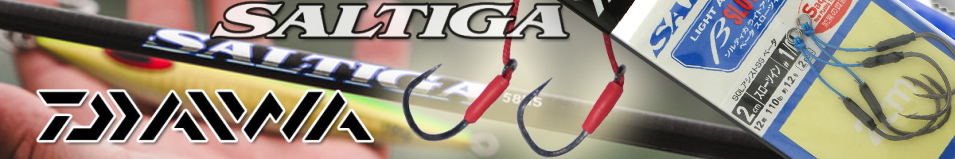 Daiwa Saltiga Assist SS B 2SLT