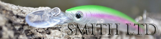 Smith DD Panish 80S