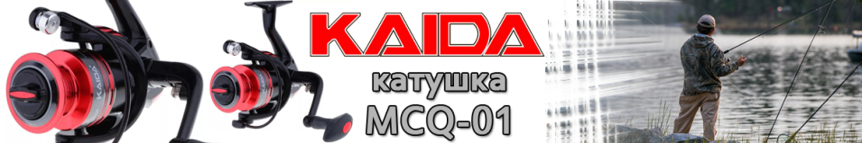 Kaida MCQ-01