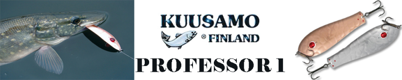 Kuusamo Professor 1, 19g (бусинка)