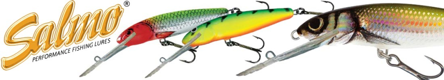 Salmo Minnow SDR 70