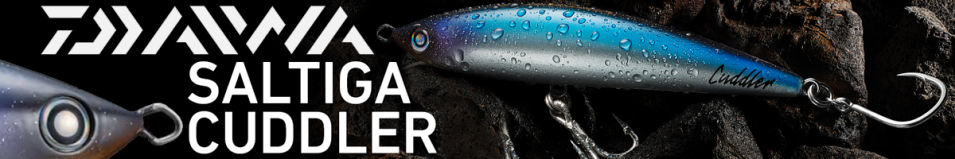 Daiwa Saltiga Cuddler 200F