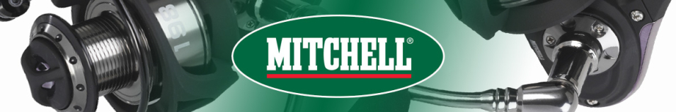 Mitchell 198