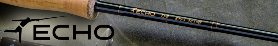 Echo EPR