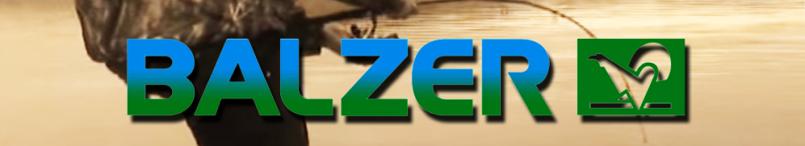 Balzer MK Container