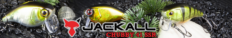 Jackall Chubby 41 SSR