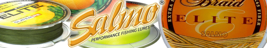 Salmo Elite Braid Green 200m