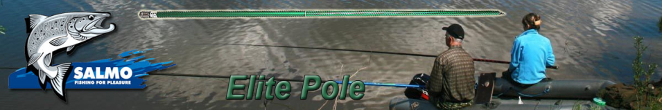 Salmo Elite Pole
