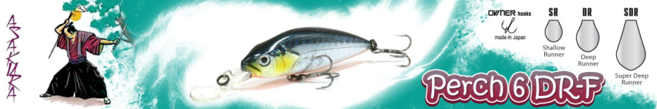 Asakura Perch 6 DR-F