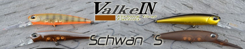 ValkeIN Schwan S