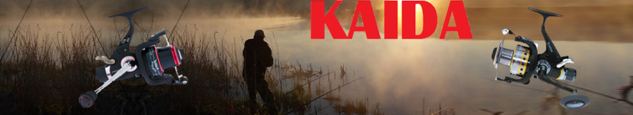Kaida HA