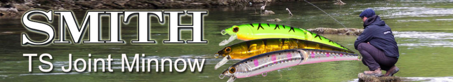 Smith TS Joint Minnow 110F