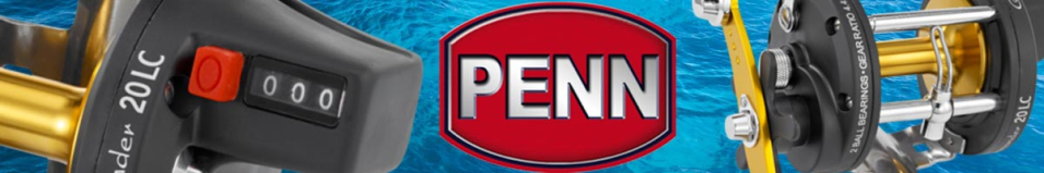 Penn Commander Linecounter