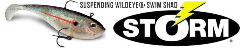 Storm Suspend WildEye Swim Shad 16см