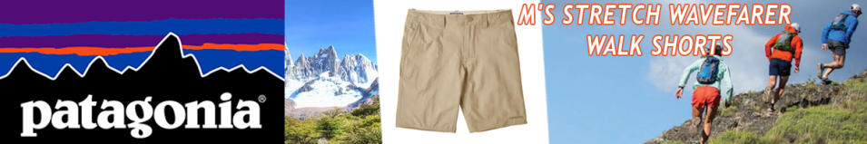 Patagonia M's Stretch Wavefarer Walk Shorts - 20 in. ASHT