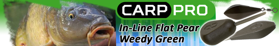 Carp Pro In-Line Flat Pear Weedy Green